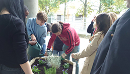 Jugendliche beim Pflanzen