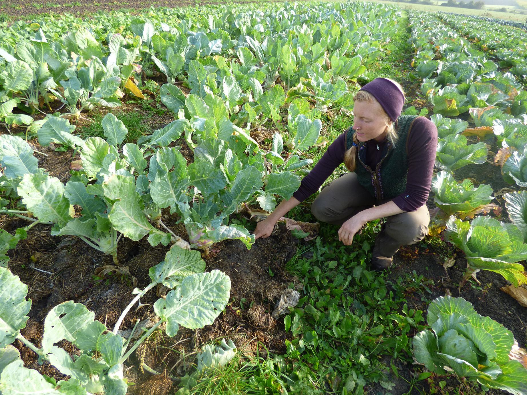 Frau kniet im Kohlbeet