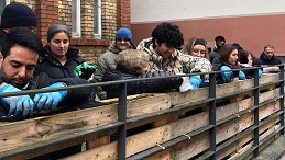 Die Kursteilnehmende bepflanzen Blumenkästen.