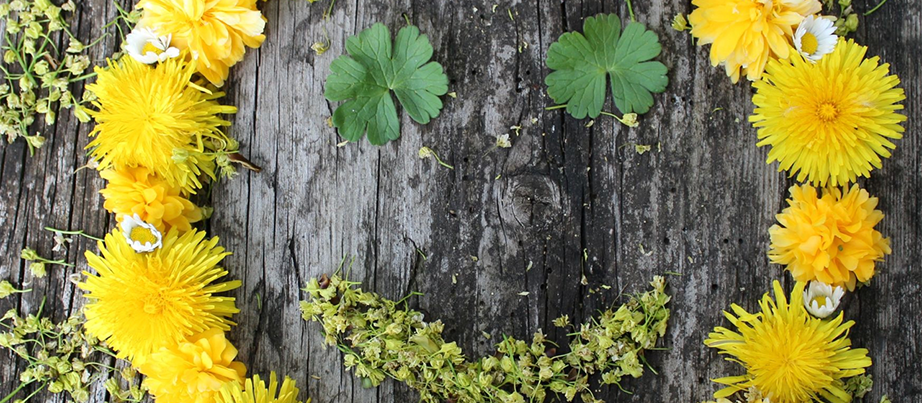 Blüten und Blätter, die einen Smiley bilden