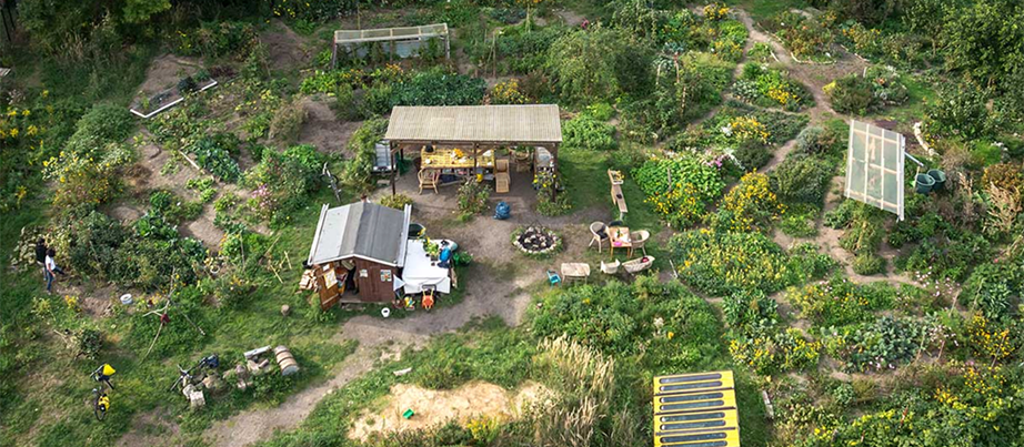 Gartenkolonie von oben