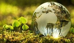 Schmuckbild: Weltkugel auf einem Bett aus Moos