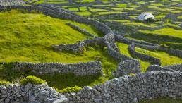 Grüne Hügellandschaft in Irland