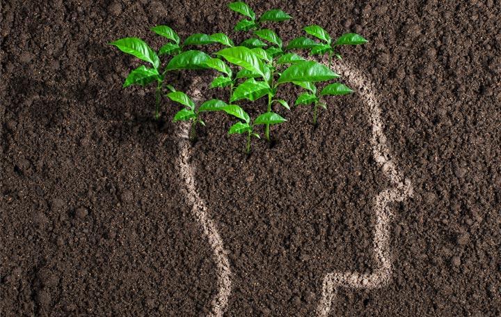 Schmuckbild: Grüne Ideen-Konzept